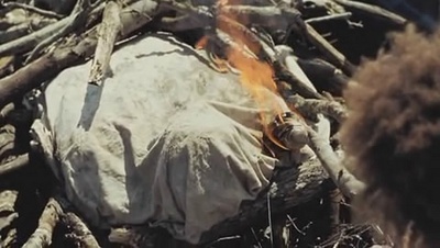 南国野兽剧照的剧照