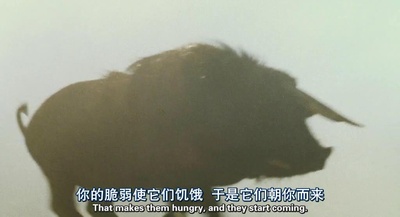 南国野兽剧照的剧照