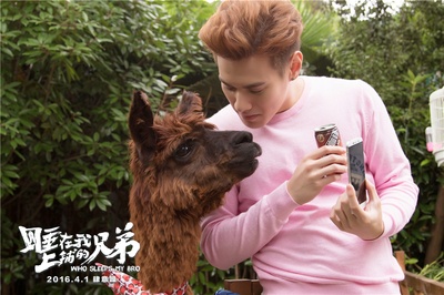 睡在我上铺的兄弟剧照的剧照