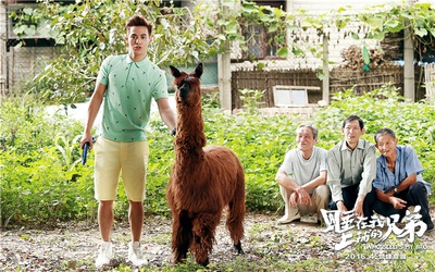 睡在我上铺的兄弟剧照的剧照