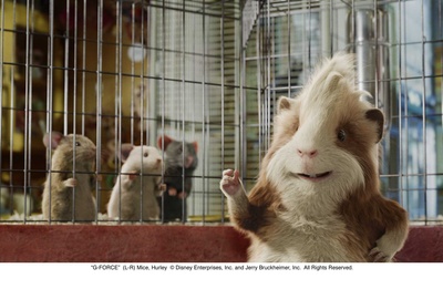 豚鼠特攻队剧照的剧照