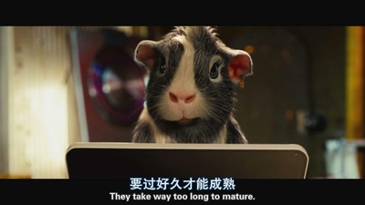 豚鼠特攻队剧照的剧照