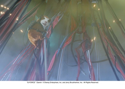 豚鼠特攻队剧照的剧照