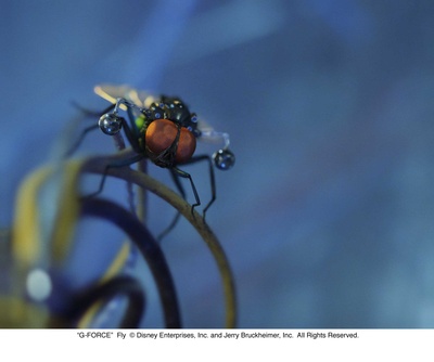 豚鼠特攻队剧照的剧照