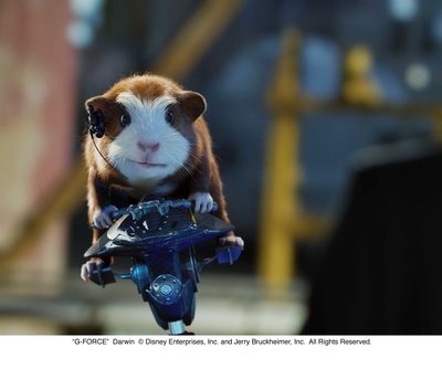 豚鼠特攻队剧照的剧照