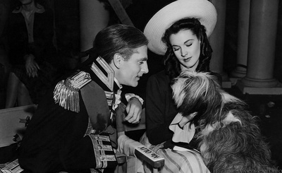 汉密尔顿夫人剧照的剧照