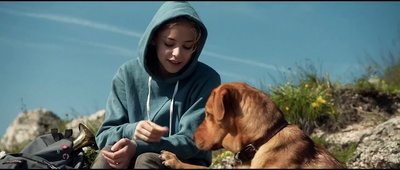 白色上帝剧照的剧照