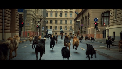 白色上帝剧照的剧照