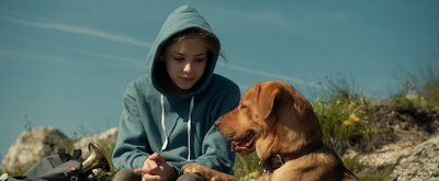 白色上帝剧照的剧照