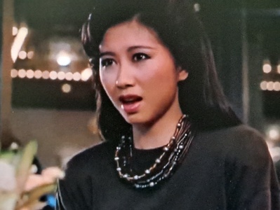 飞龙猛将剧照的剧照