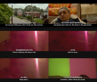 我和厄尔以及将死的女孩剧照的剧照