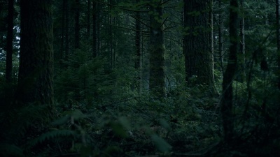 绿色房间剧照的剧照