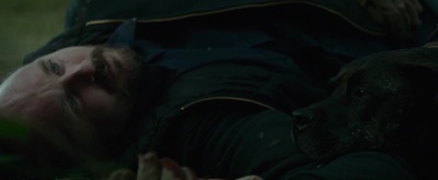 绿色房间剧照的剧照