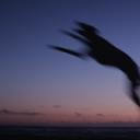 神父俱乐部剧照