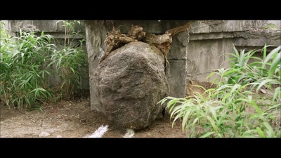 客人剧照的剧照