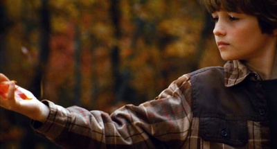 蒂莫西的奇异生活剧照的剧照