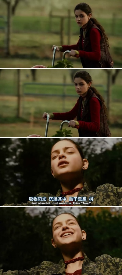 蒂莫西的奇异生活剧照的剧照