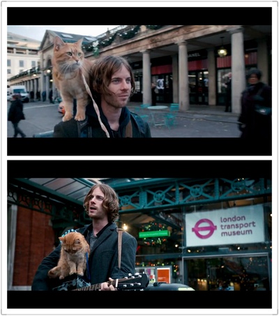 流浪猫鲍勃剧照的剧照