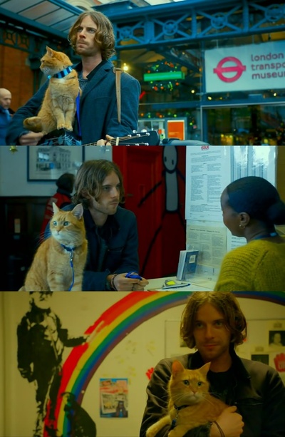 流浪猫鲍勃剧照的剧照