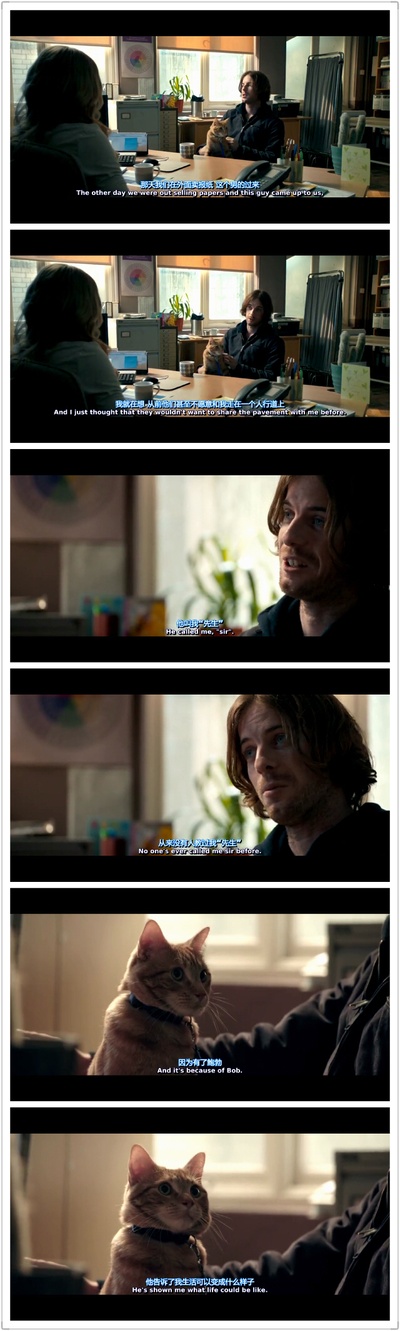 流浪猫鲍勃剧照的剧照