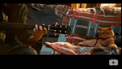 流浪猫鲍勃剧照的剧照