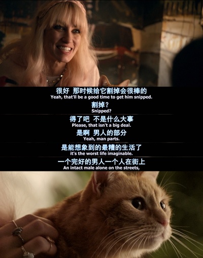 流浪猫鲍勃剧照的剧照