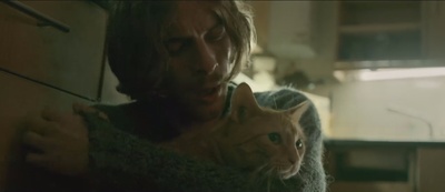 流浪猫鲍勃剧照的剧照