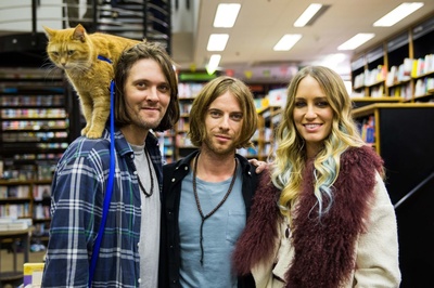 流浪猫鲍勃剧照的剧照