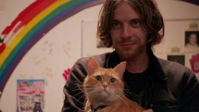 流浪猫鲍勃剧照的剧照