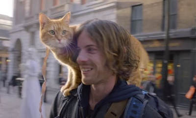 流浪猫鲍勃剧照的剧照