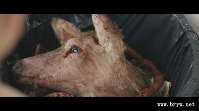 男孩剧照的剧照