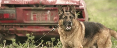 男孩剧照的剧照