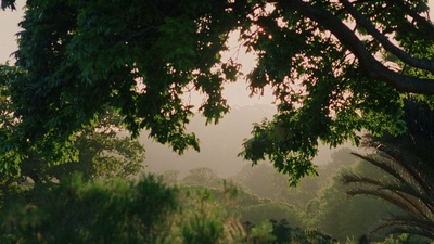 耶稣传剧照的剧照