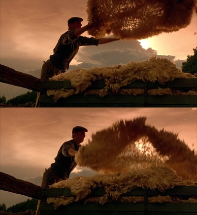 小猪宝贝剧照的剧照