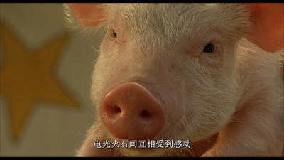 小猪宝贝剧照的剧照