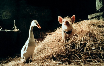 小猪宝贝剧照的剧照