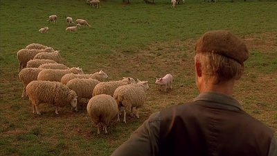 小猪宝贝剧照的剧照