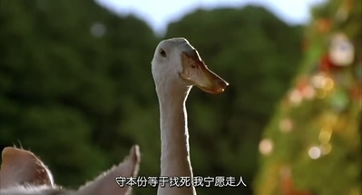 小猪宝贝剧照的剧照