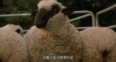 小猪宝贝剧照的剧照