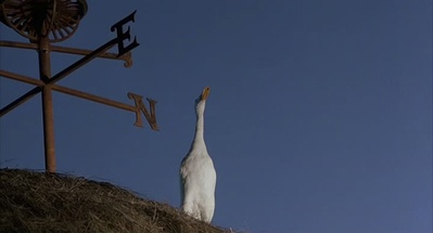 小猪宝贝剧照的剧照