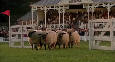 小猪宝贝剧照的剧照