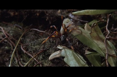 狂蟒之灾2剧照的剧照