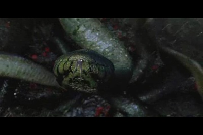 狂蟒之灾2剧照的剧照