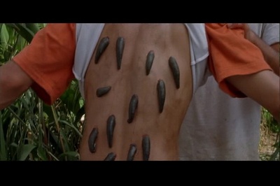 狂蟒之灾2剧照的剧照