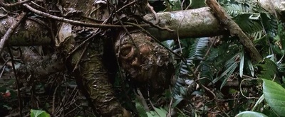 狂蟒之灾2剧照的剧照