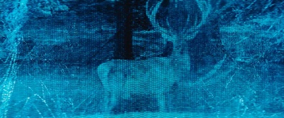 杀戮指令剧照的剧照