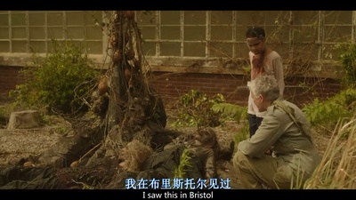 天赐之女剧照的剧照