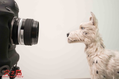 犬之岛剧照的剧照