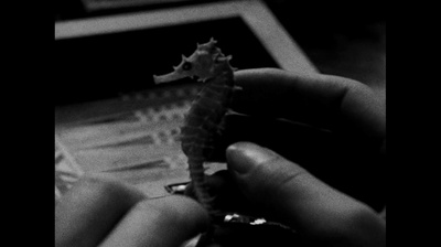 追随剧照的剧照