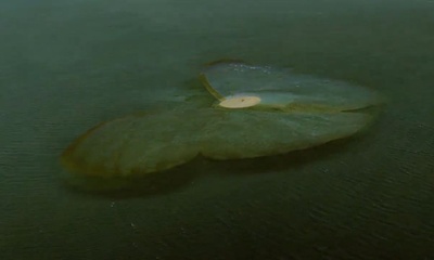 坠入剧照的剧照